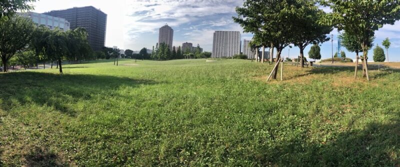 汐入公園の芝生広場