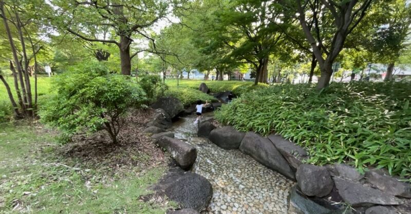亀戸中央公園のじゃぶじゃぶ池の木々が繁茂している場所