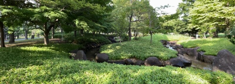 亀戸中央公園のじゃぶじゃぶ池の木々が繁茂している場所の全景