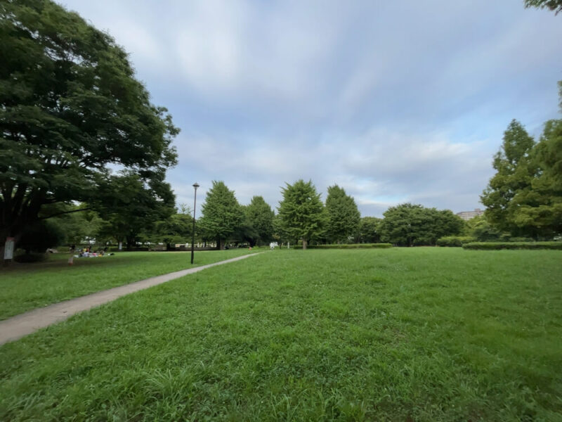 亀戸中央公園の芝生広場