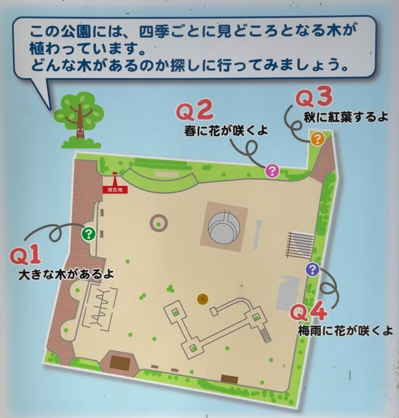戸塚公園のこれ何の木、クイズ。全４問あります。