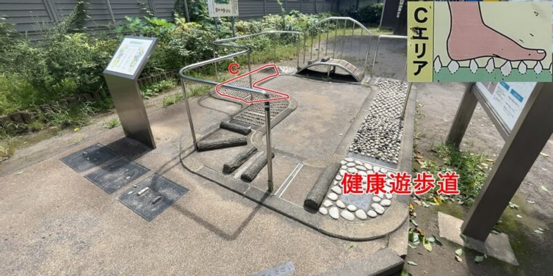戸塚公園の健康遊具のCエリアの場所。尖った石があって、本格的に足のツボを刺激します。